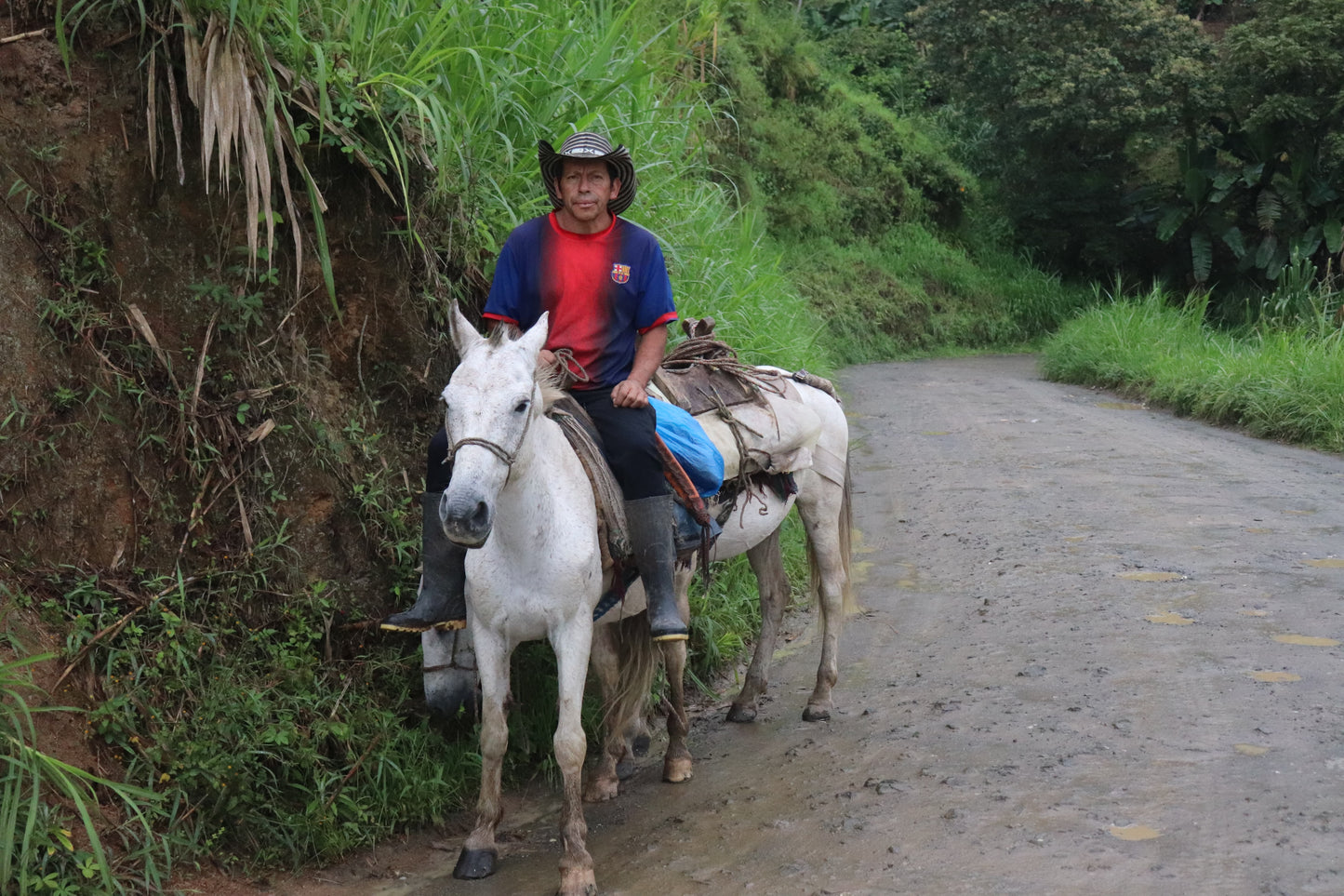 Fernando Martinez riding a white horse on a dirt road surrounded by greenery