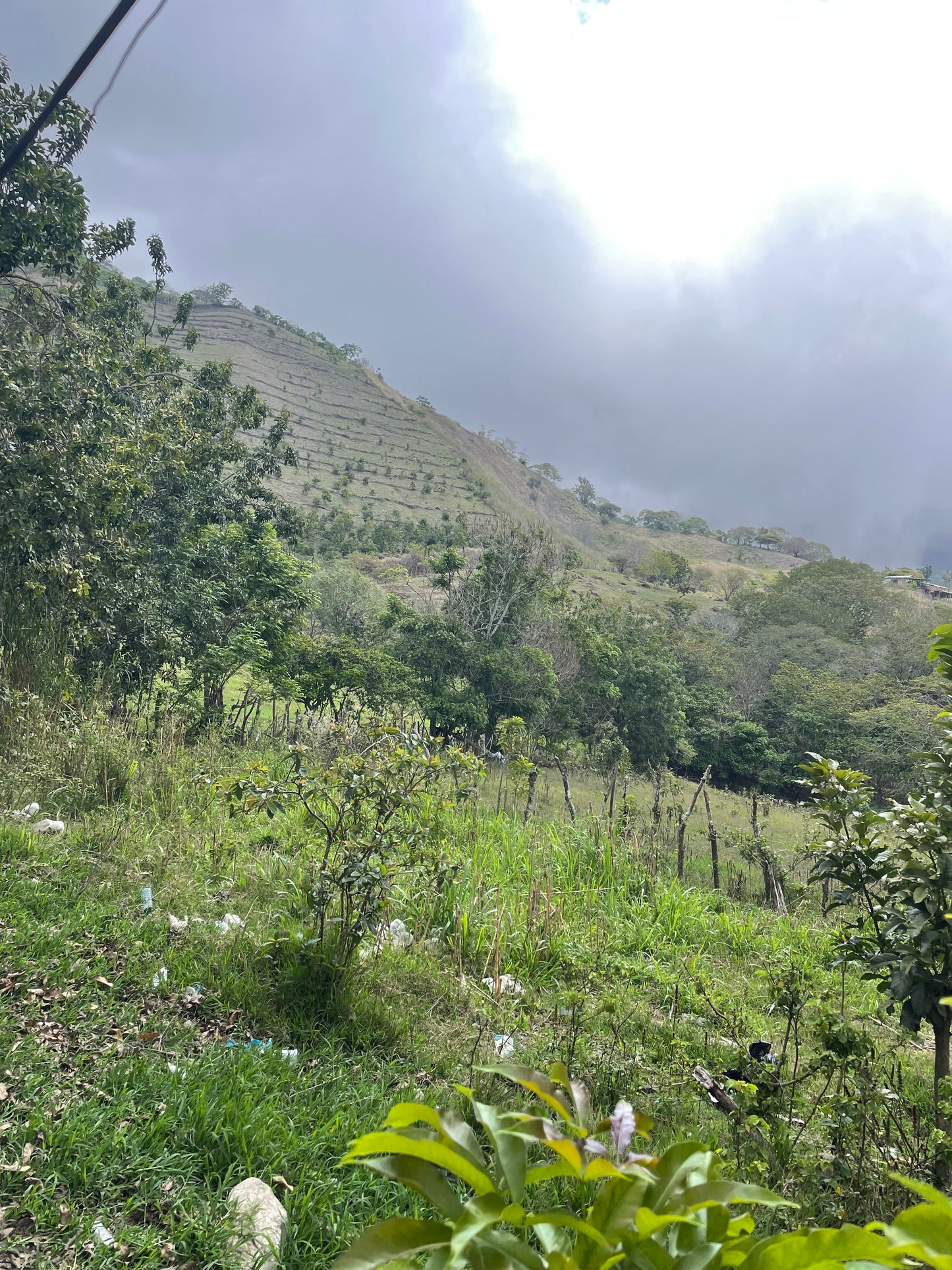 Hilly landscape with greenery and a cloudy sky