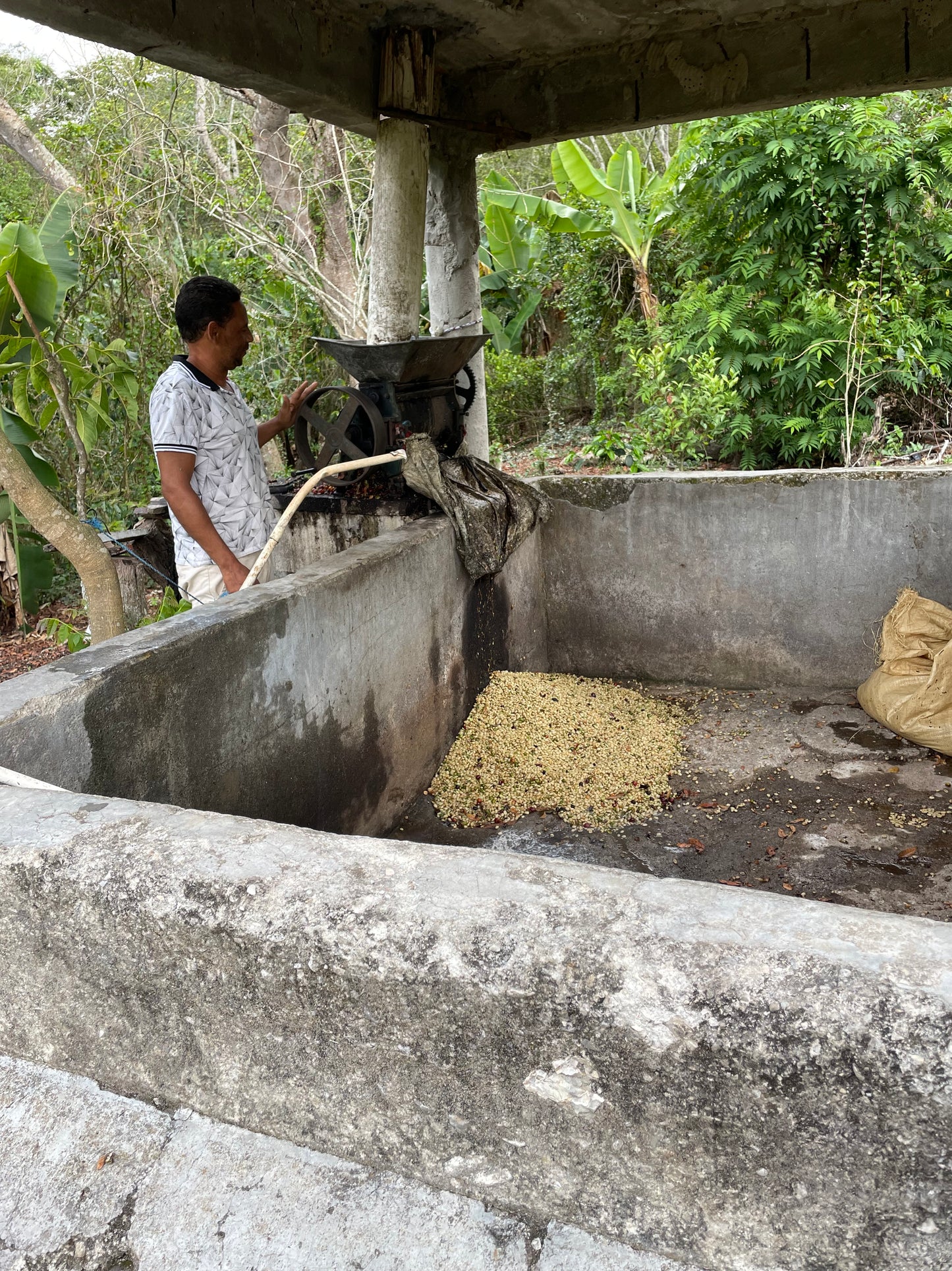 Person working on a concrete coffee washing station site with greenery outside.